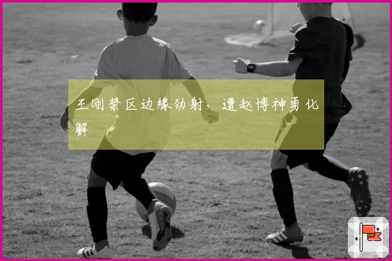 王刚禁区边缘劲射，遭赵博神勇化解