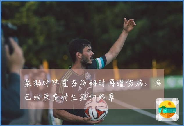 聚勒对阵霍芬海姆时再遭伤病，或已结束多特生涯的终章