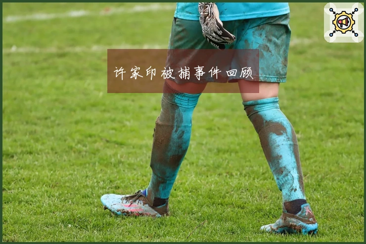 许家印被捕事件回顾