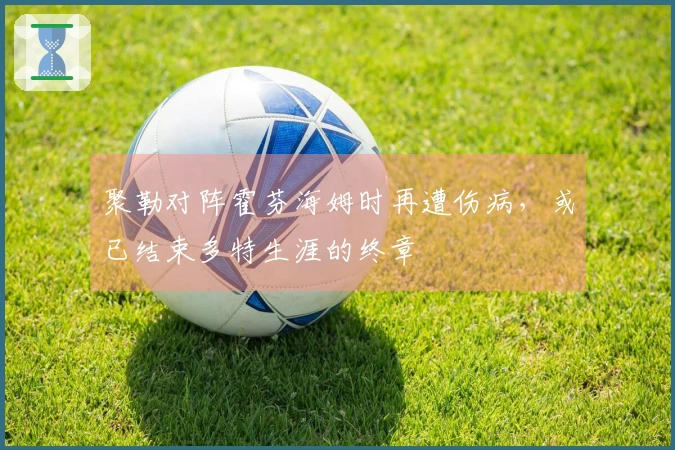 聚勒对阵霍芬海姆时再遭伤病，或已结束多特生涯的终章